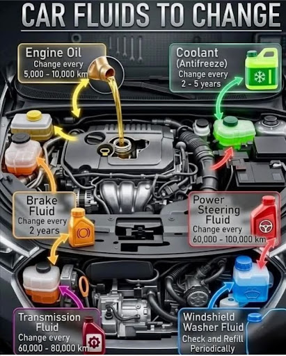 🚗 Car Fluids Maintenance Guide 🚗 post image