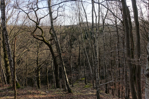 NSG Schusterstein - Thumbnail