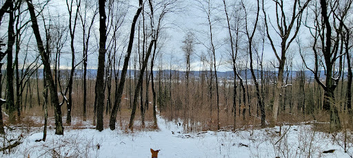 Shabbecong Mountain Preserve Trail Head
