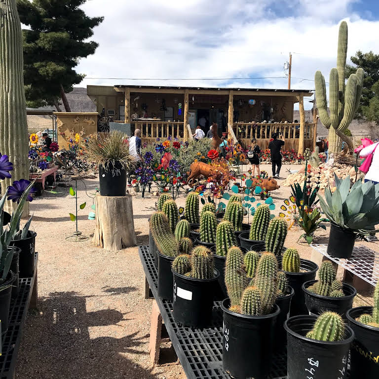 Garden Store & Nursery — Cactus Joe's Desert Garden & Nursery Las