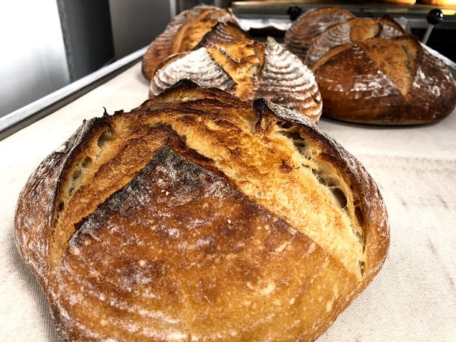 Obrador San Francisco