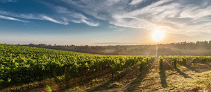 Photo n°18 de Vins et Caudalies à Mouilleron-le-Captif (Cave à vins)