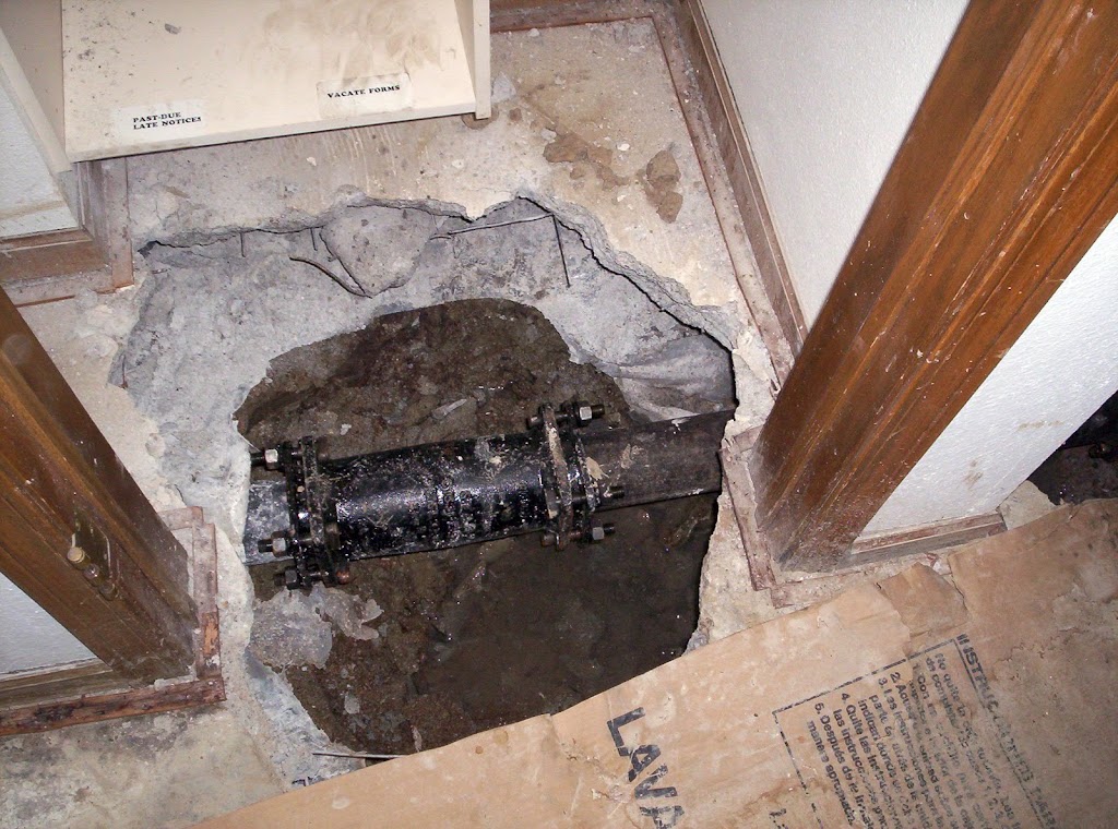 DryHero Water & Mold photo