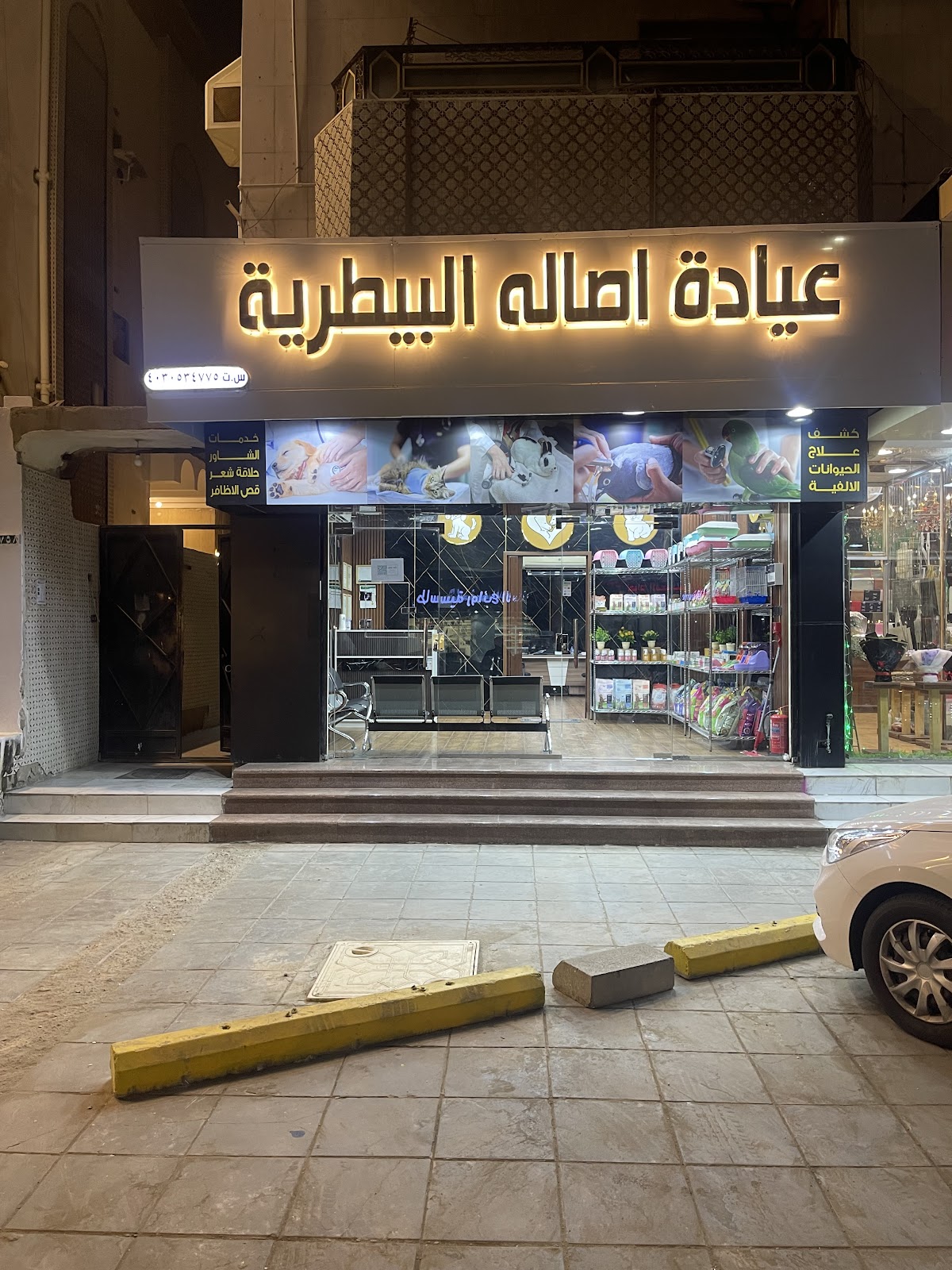 عيادة الخطوات الأليفة البيطرية - صورة 4