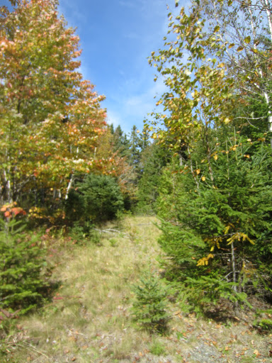 Moosehorn National Wildlife Refuge - Ox Cove - Thumbnail