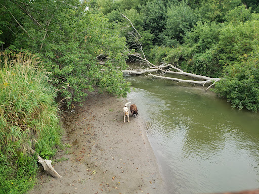 LeClair Park - Visual