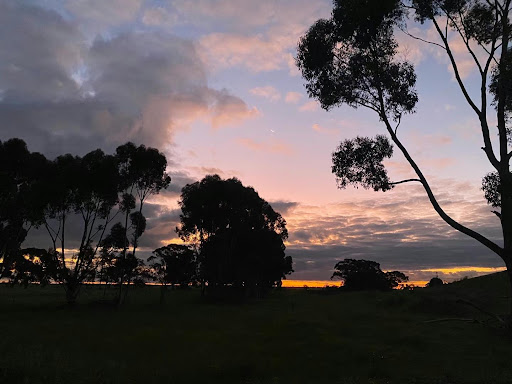 IGA Kaniva Gallery - Australia