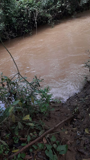 Río El Amate