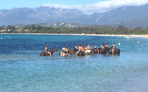 Photo n°29 de Country Horse à Lecci (Centre équestre)