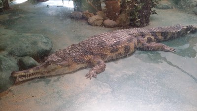 Photos of Uchi Park Zoo