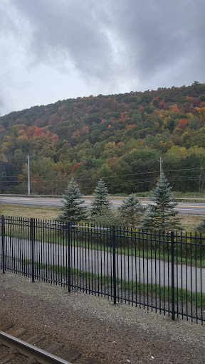 Wassaic - Visual