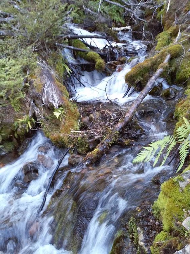 Lake Rotoiti