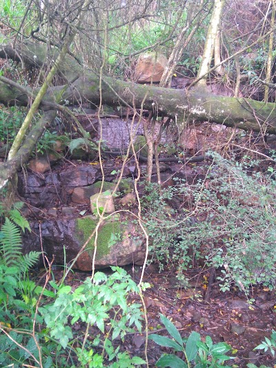Photos of Alverstone Wildlife Park