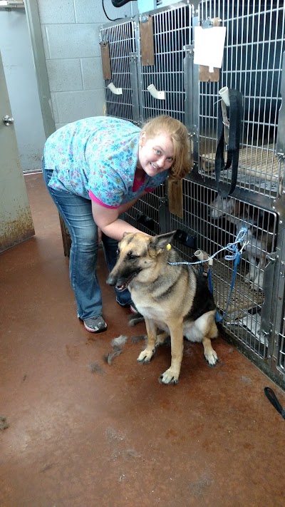 Mineral Wells Animal Clinic