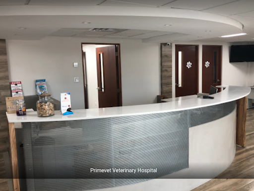 Primevet Veterinary Hospital - Thumbnail