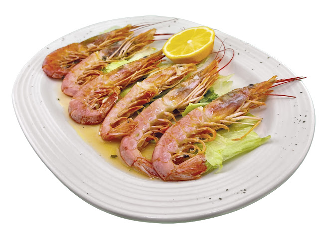 Albergue Cuatro Cantones | Belorado by null