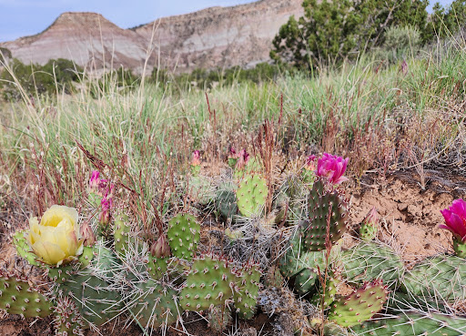 Devil’s Kitchen Trailhead - Visual
