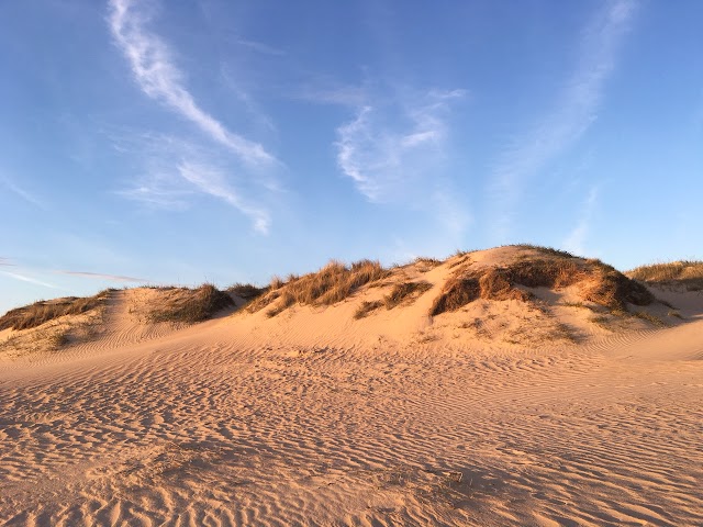 First Camp Lakolk Strand-Rømø