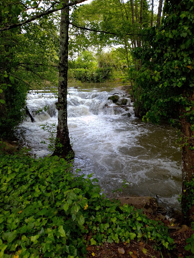 Photo de Résidence Services Seniors Les Jardins d'Arcadie de Bergerac à Maurens (24140)