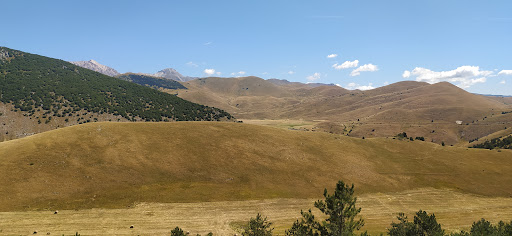 Monte Carpesco - Visual