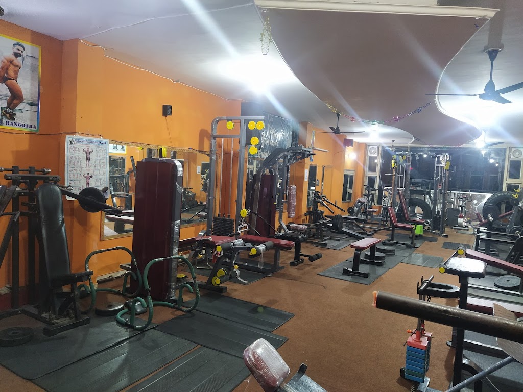 The Fitness Evolution Unisex Gym