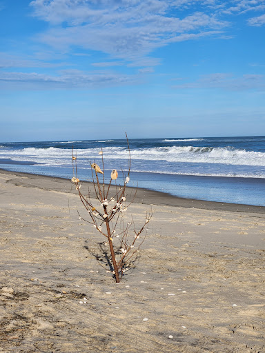 Cape Hatteras National Seashore ORV Ramp 34