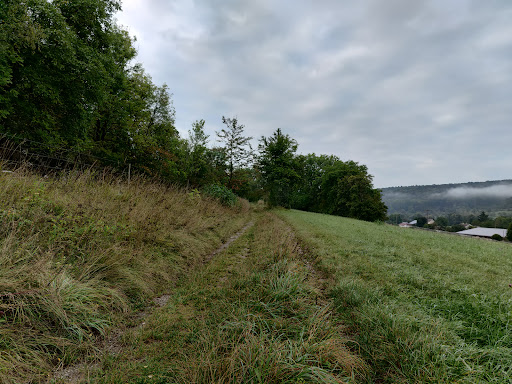 Mittelberg Nature Reserve - Thumbnail