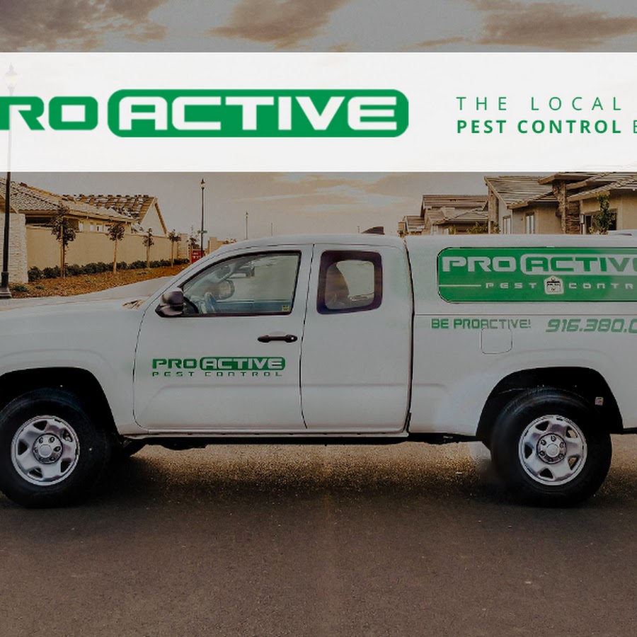 Pro Active Pest Control