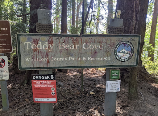Teddy Bear Cove - Thumbnail