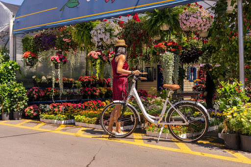 Erikson Bikes - Visual