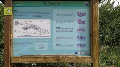 Fossilienacker