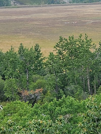 Lower Saint Mary Lake