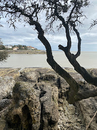 Photo n°102 de Camping Le Blayais Alicat à Saint-Georges-de-Didonne (Terrain de camping)