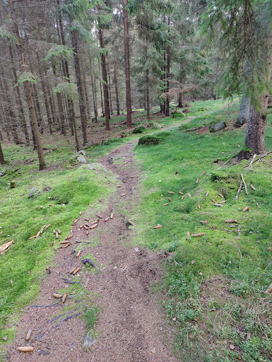 Sölvesborgs Flowtrail - Visual