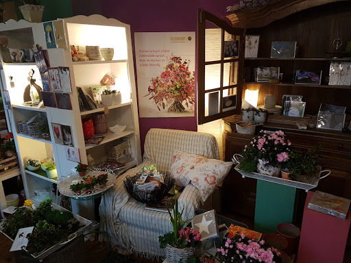 Blumen - Wilma Eggert - Thumbnail