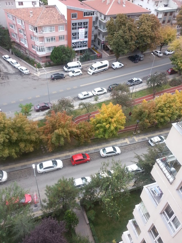 Şenyuva Blokları
