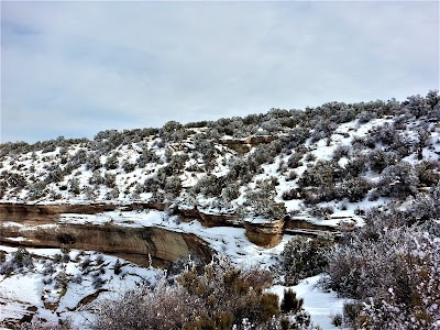 Black Ridge Canyons Wilderness (Colorado)