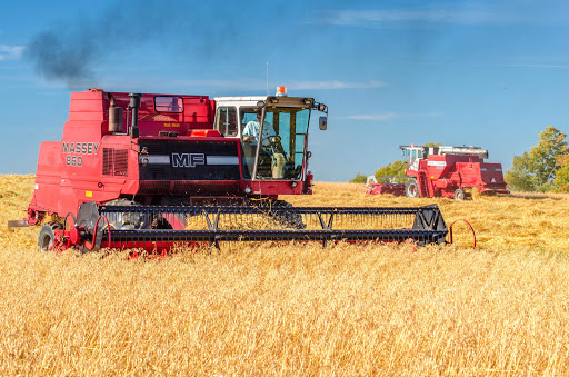 Nyborg Farms Ltd - Thumbnail