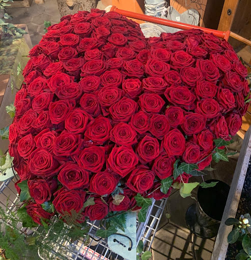 Gärtnerei van der Bloemen - Thumbnail