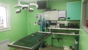 Photo n°26 de Clinique Vétérinaire de l'Oiselet des Docteurs Rigori et Millet à Bourgoin-Jallieu (Vétérinaire)