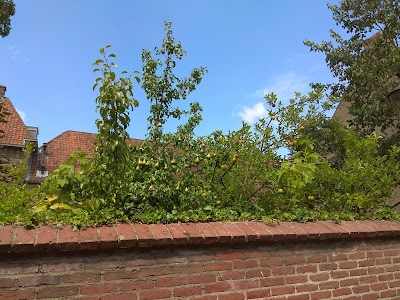 Stichting Vrienden van het Gouverneurshuis, Museum voor het Land van Heusden en Altena