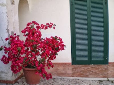 Photos of Masseria Della Casa