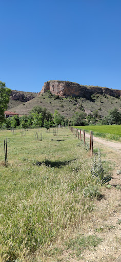 Carnicería Encinas Logo