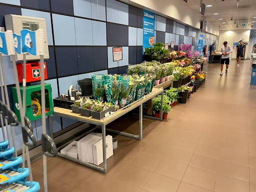 Albert Heijn Drossestraat - Thumbnail