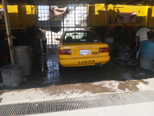 Auto detallado el panzas - Thumbnail
