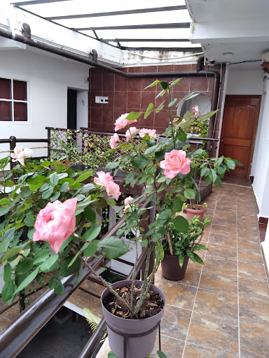 Hotel Sandy - Thumbnail