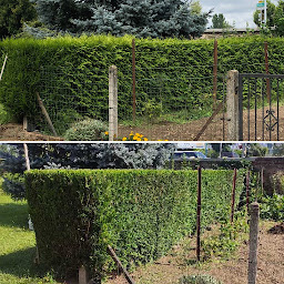Photo n°2 de MJ Service à Bischwiller (Jardinier)