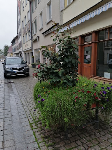 SV SparkassenVersicherung: Geschäftsstelle Hermanutz OHG - A. Matern & T. Schmid