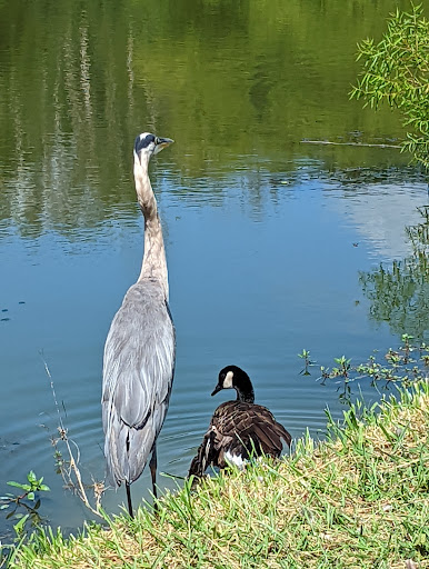 Woodsboro Park