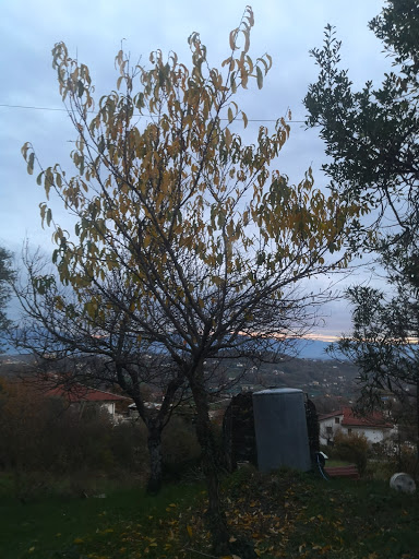 Edilstar - Visual